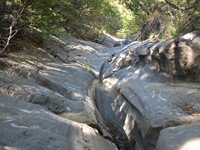 rrente Quarantore-20110911 035